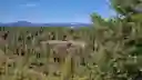 listing-thumbnails