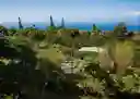 listing-thumbnails