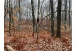 listing-thumbnails