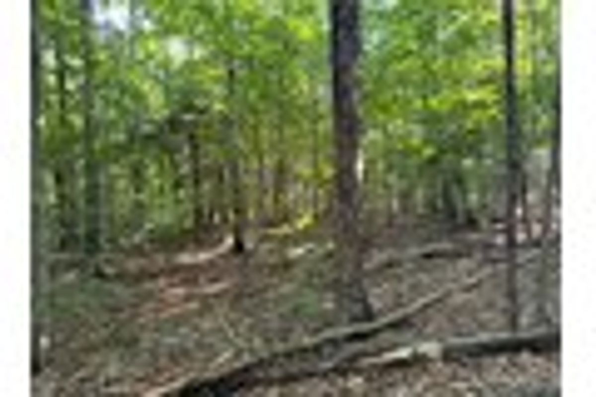 property-listing