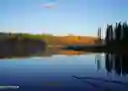 listing-thumbnails