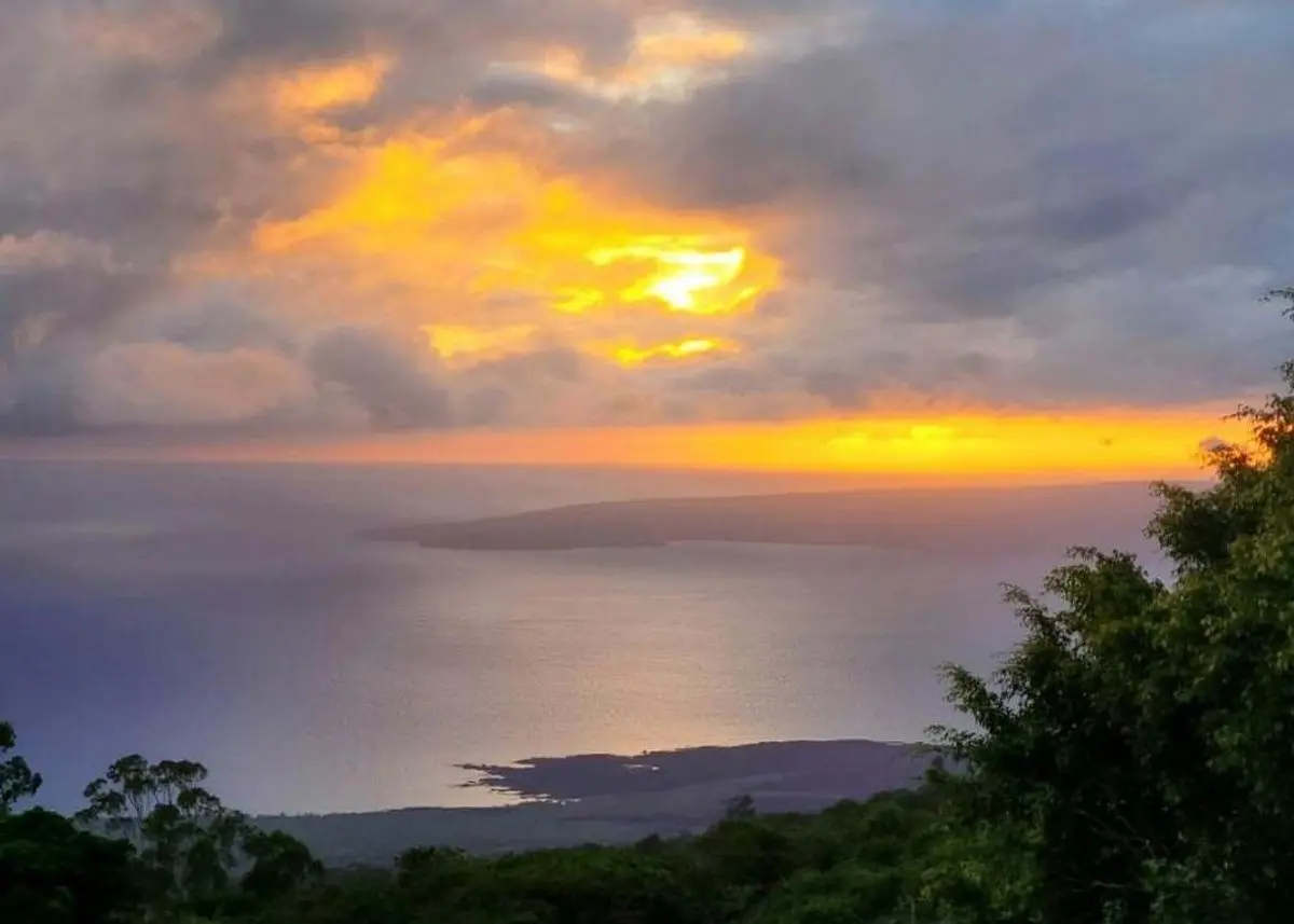 Green Homes for Sale - Kula, Hawaii Green Home
