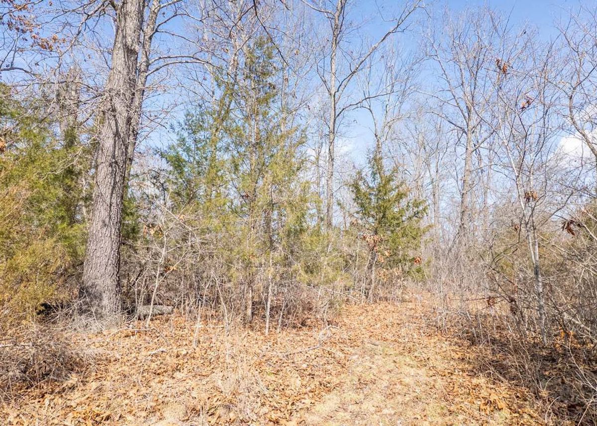 property-listing