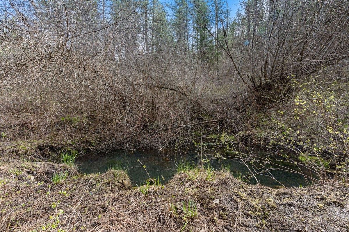 property-listing