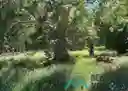 listing-thumbnails
