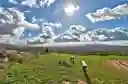 listing-thumbnails