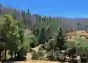listing-thumbnails