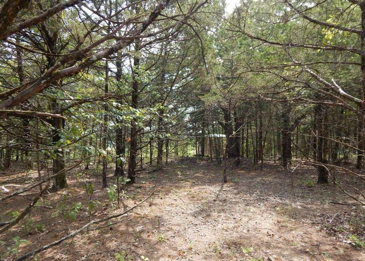 property-listing