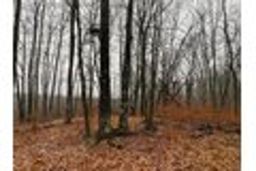 listing-thumbnails