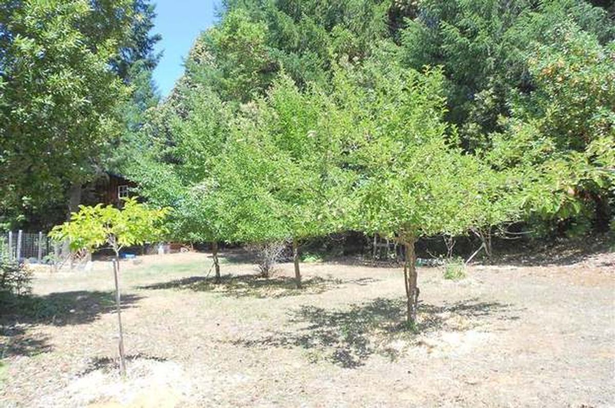 property-listing
