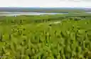 Photo 22 of green home in Talkeetna, Alaska