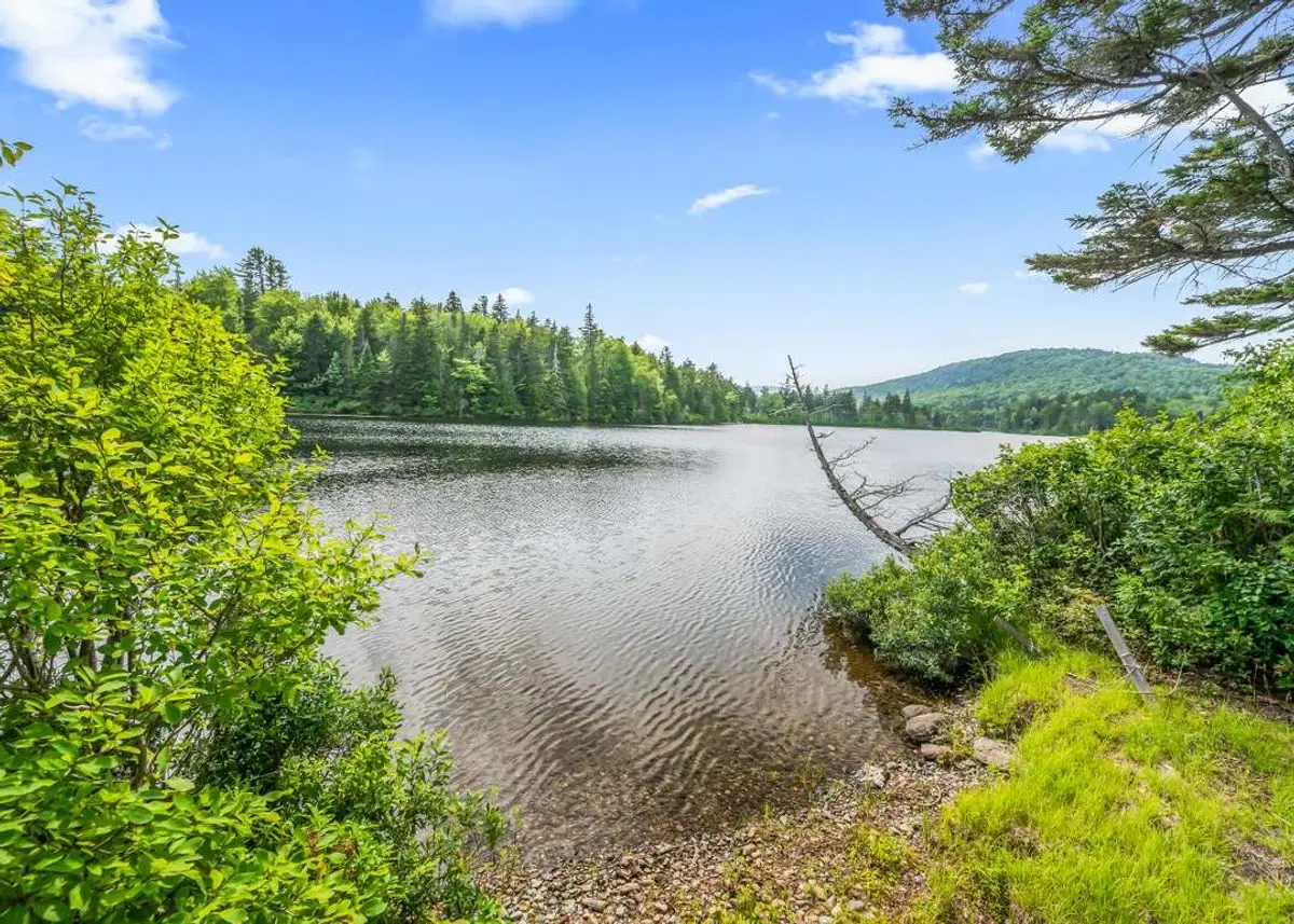 property-listing