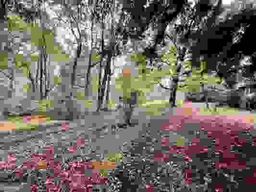 listing-thumbnails
