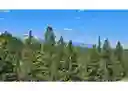 listing-thumbnails