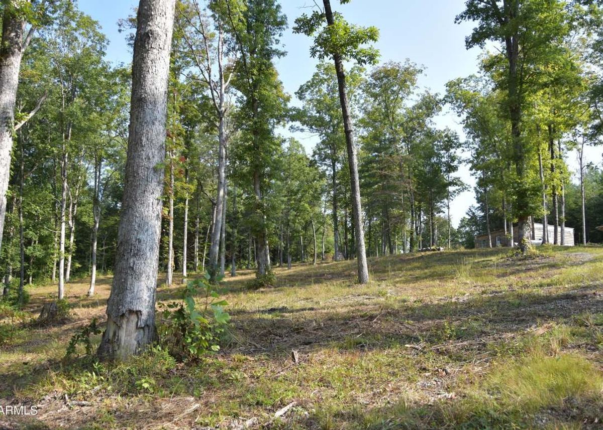property-listing