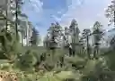 listing-thumbnails