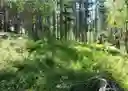 listing-thumbnails