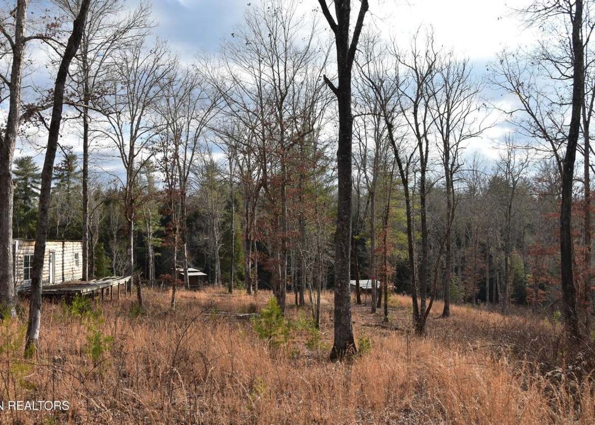 property-listing