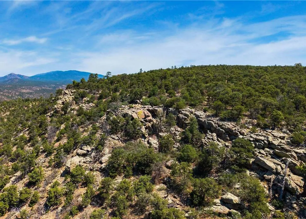 property-listing