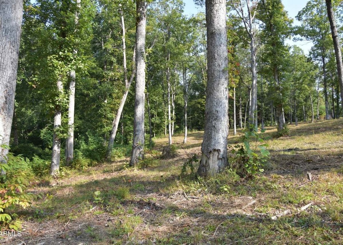 property-listing