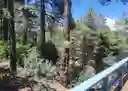listing-thumbnails