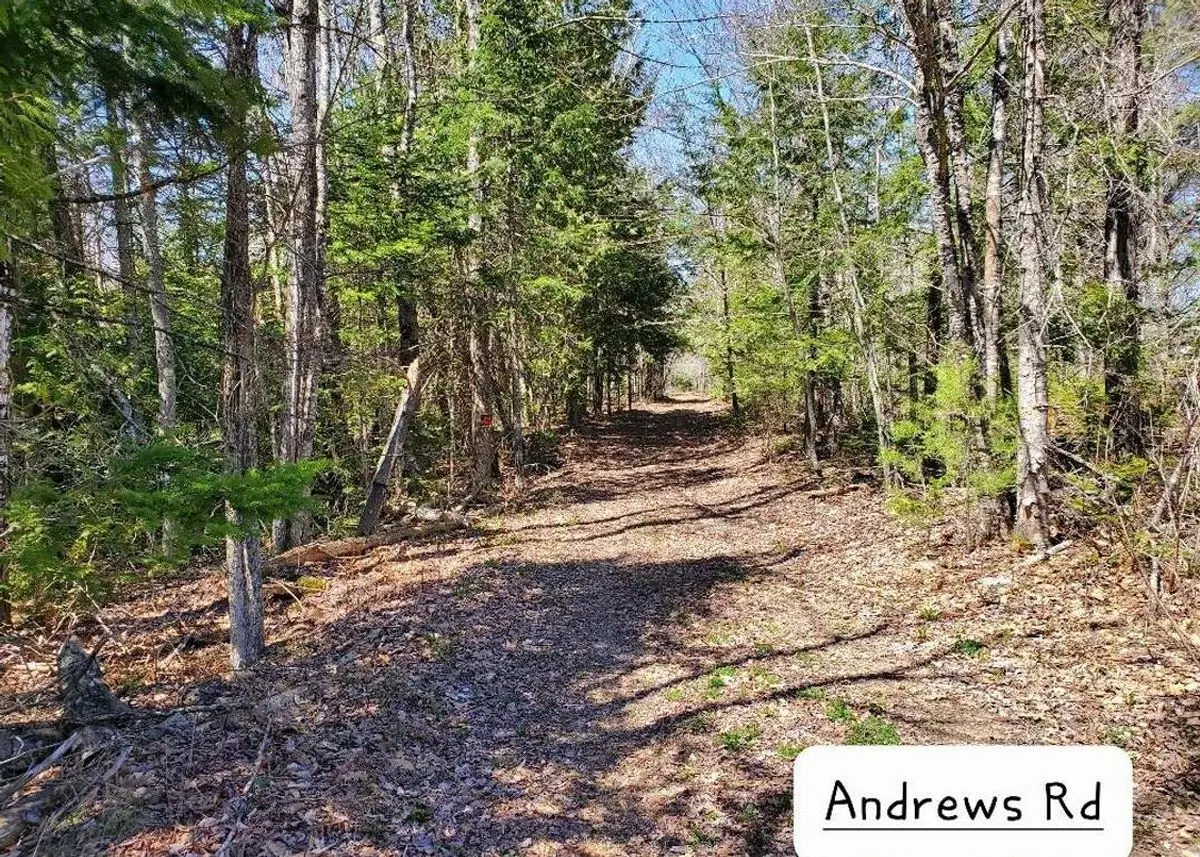 property-listing