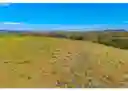 listing-thumbnails