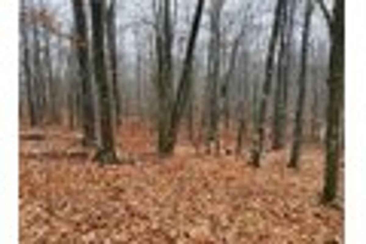 property-listing
