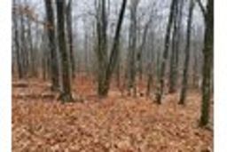 listing-thumbnails