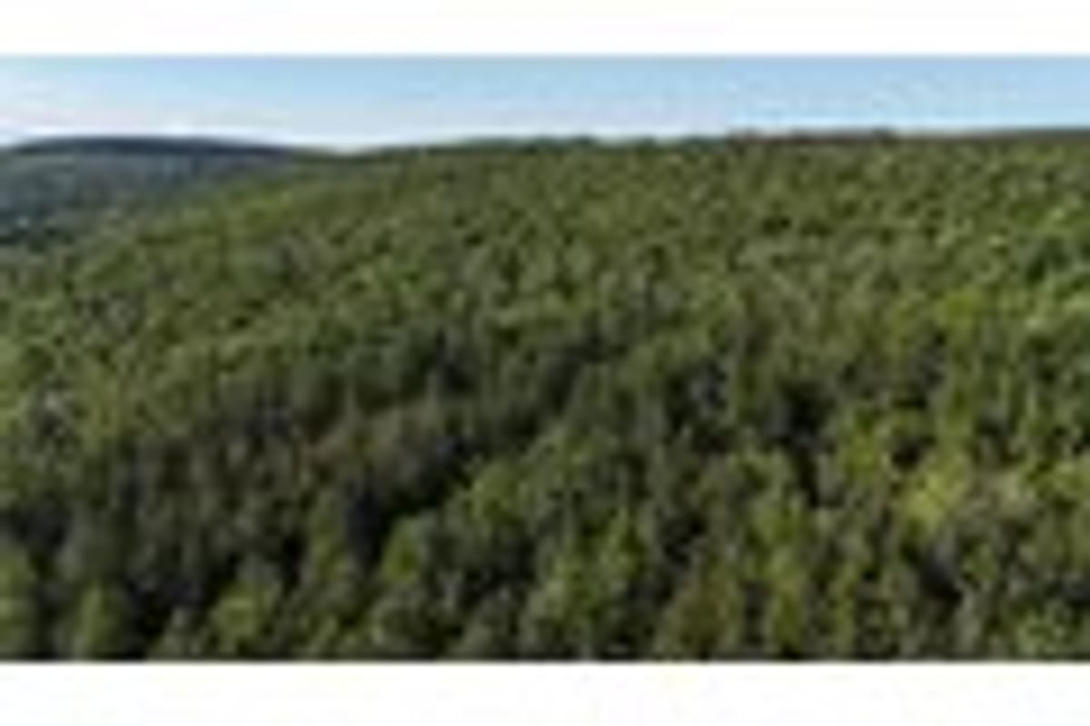 property-listing