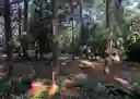 listing-thumbnails