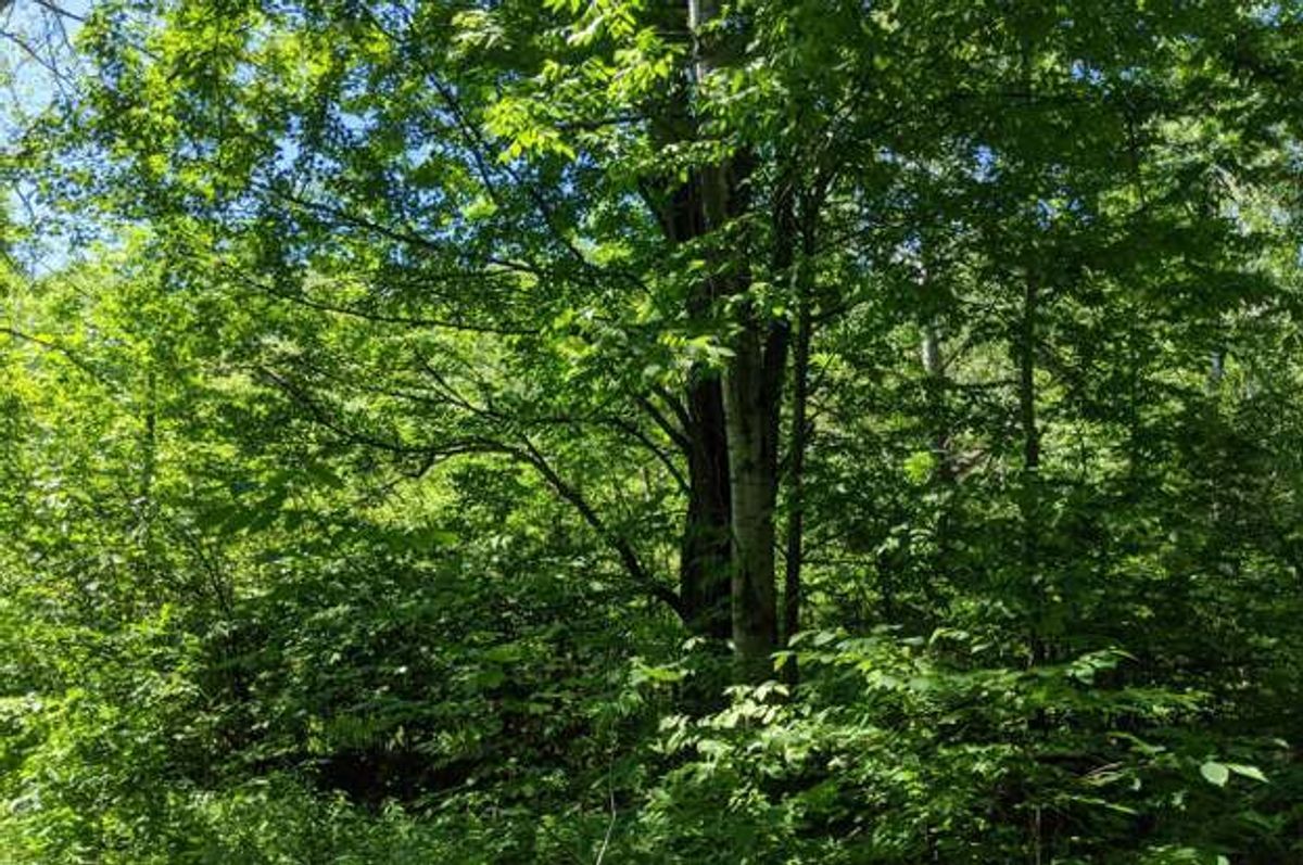 property-listing