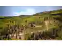 listing-thumbnails