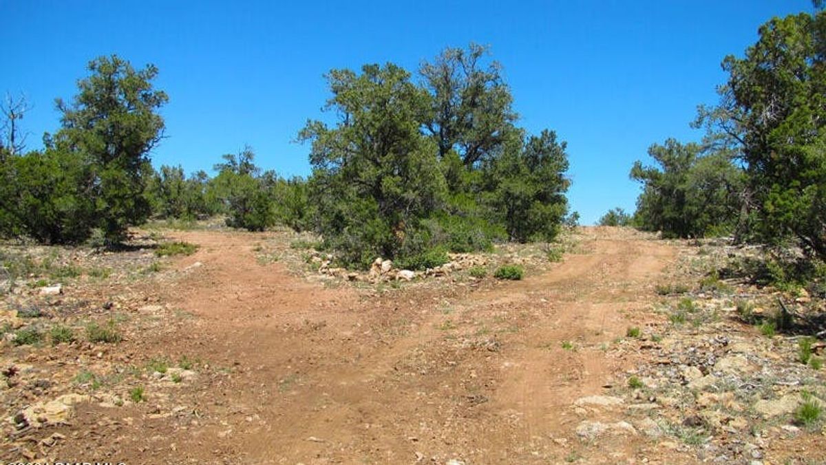 property-listing