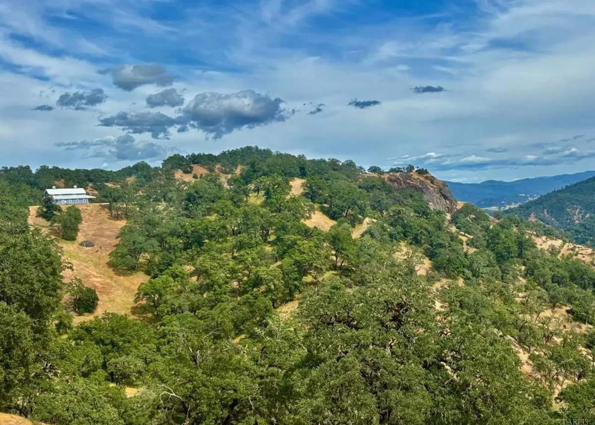 Photo 1 of green home in Ukiah, California