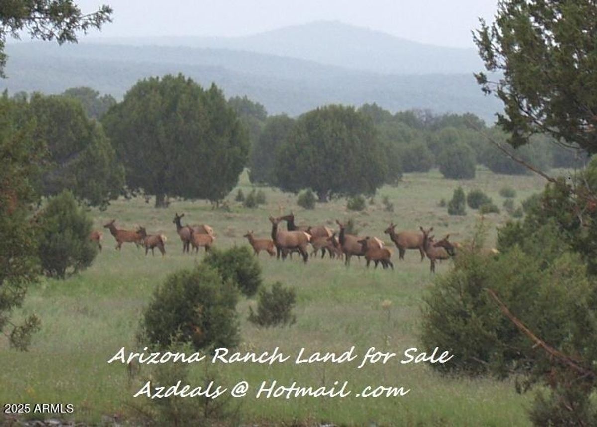 property-listing