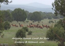 listing-thumbnails