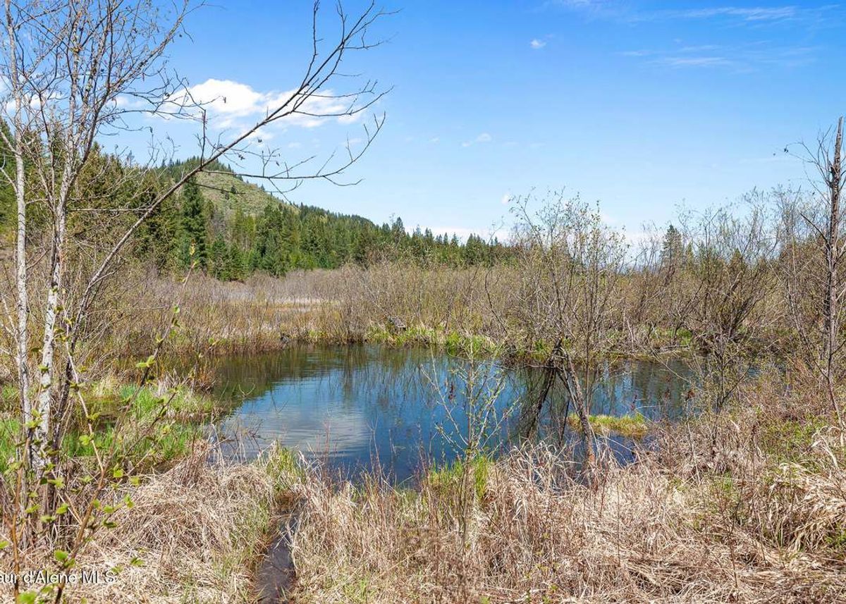 property-listing