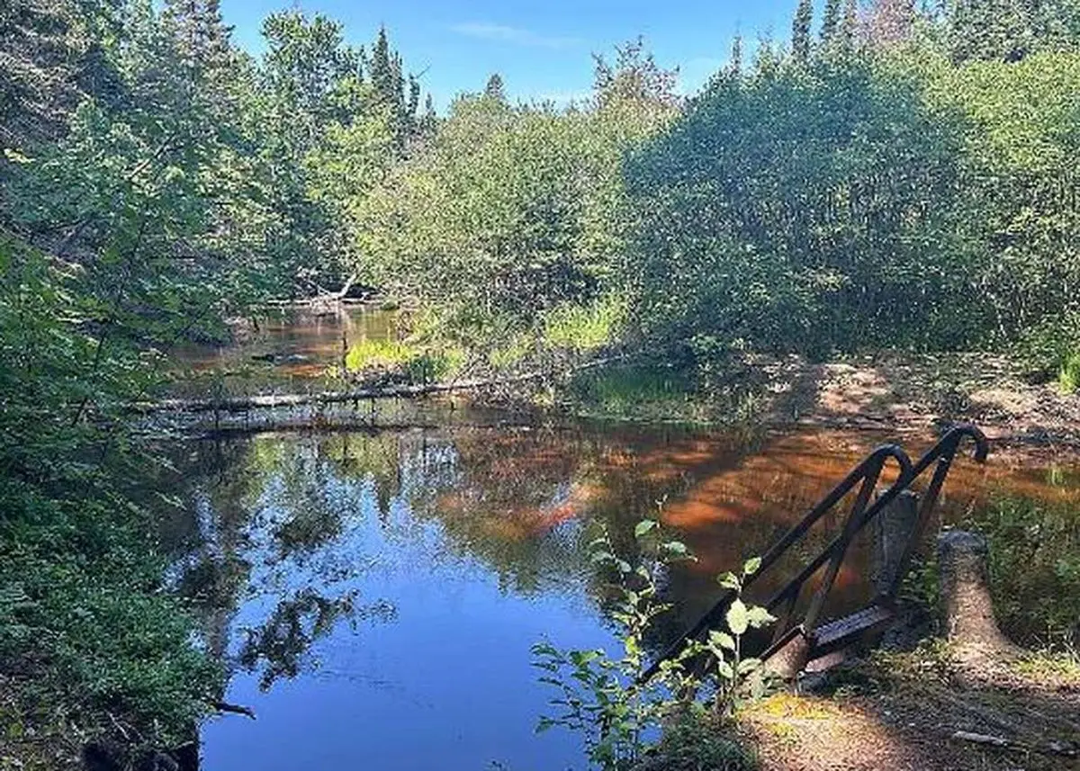 property-listing