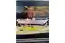 listing-thumbnails