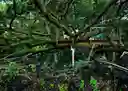 listing-thumbnails