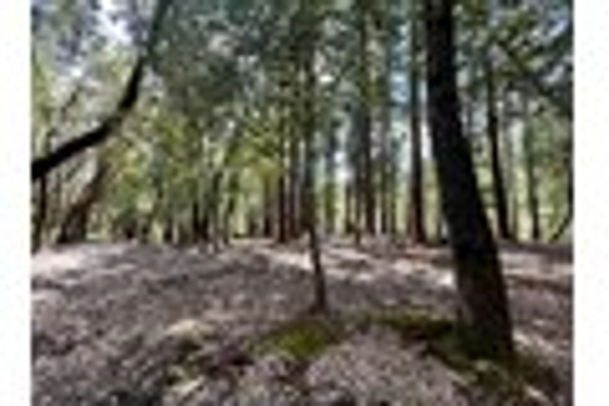 property-listing