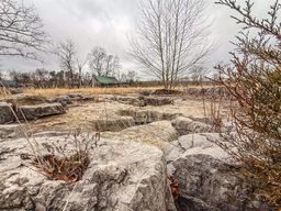 listing-thumbnails