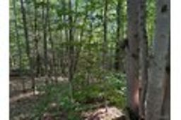 listing-thumbnails