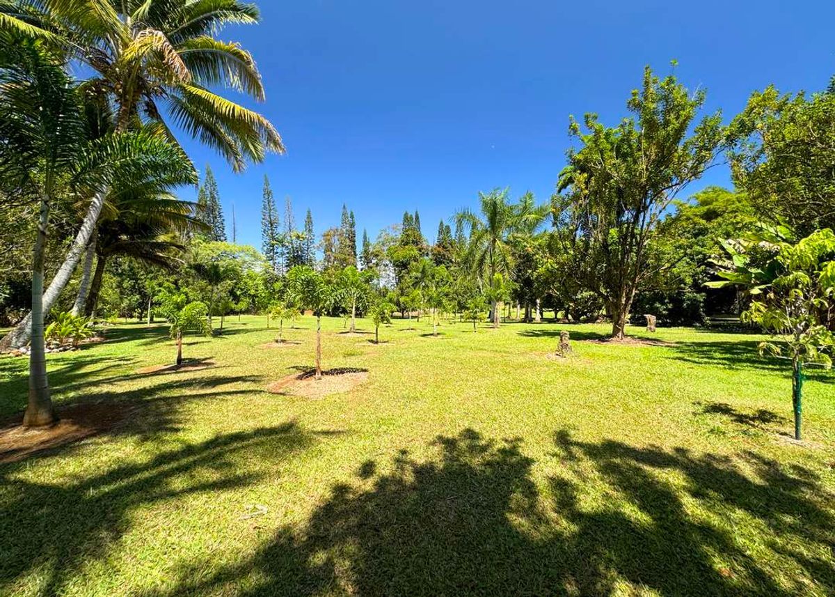 property-listing