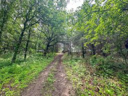 listing-thumbnails
