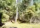 listing-thumbnails