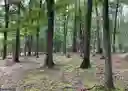 listing-thumbnails