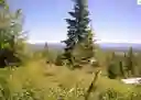 listing-thumbnails
