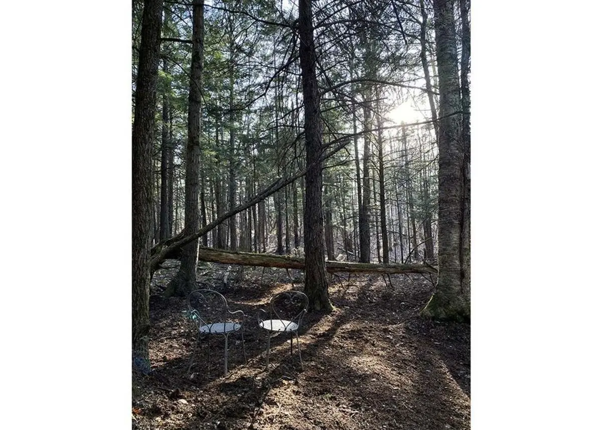 property-listing